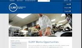 
							         SUNY Works Opportunities - SUNY								  
							    