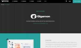 
							         Technology Partner: Gigamon | ExtraHop								  
							    