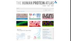 
							         The Human Protein Atlas								  
							    