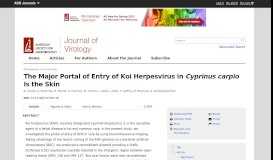 
							         The Major Portal of Entry of Koi Herpesvirus in Cyprinus carpio Is the ...								  
							    