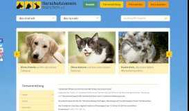 
							         Tiervermittlung - Tiere suchen ein Zuhause ... - Tierheim München								  
							    