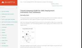 
							         Transit Gateway ECMP for DMZ Deployment Limitation Test Validation ...								  
							    