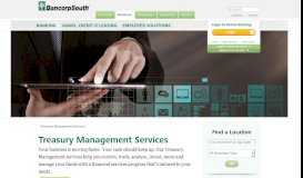 
							         Treasury Management Services | BancorpSouth								  
							    
