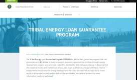 
							         TRIBAL ENERGY LOAN GUARANTEE PROGRAM | Department of ...								  
							    