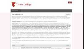 
							         Triton College Scholarships: All Opportunities								  
							    