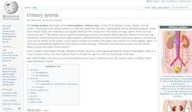 
							         Urinary system - Wikipedia								  
							    
