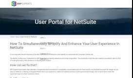 
							         User Portal for NetSuite - ERP Experts								  
							    