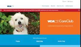 
							         VCA CareClub - Adult Dogs | VCA Hospitals								  
							    