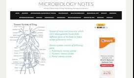 
							         Venous System of Frog - Microbiology Notes								  
							    