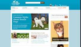 
							         Vetstreet.com is the Internet's Leading Pet Care and Health Resource ...								  
							    