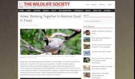 
							         Video: Working Together to Restore Quail in Texas - The Wildlife Society								  
							    