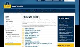 
							         Voluntary Benefits | Human Resources | Drexel University								  
							    