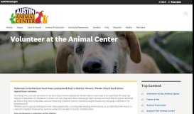 
							         Volunteer | Animal Services | AustinTexas.gov - The Official Website of ...								  
							    