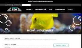 
							         Volunteer Opportunities – The Toledo Zoo & Aquarium								  
							    