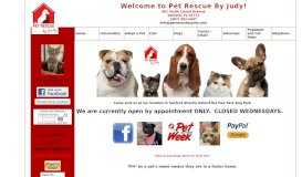 
							         Volunteer - Pet Rescue By Judy								  
							    