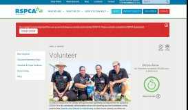 
							         Volunteer | RSPCA Queensland - RSPCA Qld								  
							    
