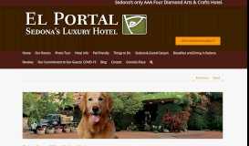 
							         We Love Dogs at El Portal Sedona Hotel								  
							    