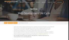 
							         Web site development process - The processes and steps								  
							    