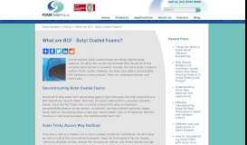 
							         What are BCF – Butyl Coated Foams? | Foam Sealant								  
							    