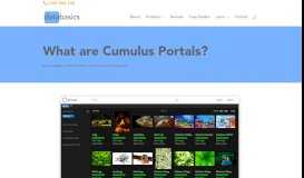 
							         What are Cumulus Portals? | databasics DAM solutions and services								  
							    