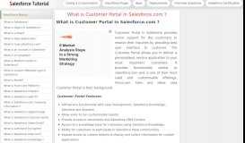 
							         What is Customer Portal in Salesforce.com - SFDC Tutorials								  
							    