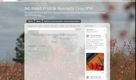 
							         What to watch for: Aphids in strawberries - NC Small Fruit & Specialty ...								  
							    