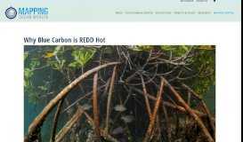 
							         Why Blue Carbon is REDD Hot | Mapping Ocean Wealth								  
							    