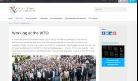 
							         WTO| Working at the WTO - World Trade Organization								  
							    