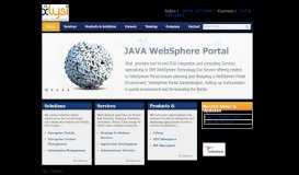 
							         Xlysi LLC | Expert Portal Solutions (Websphere, Liferay, MS)								  
							    