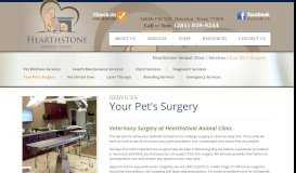 
							         Your Pet's Surgery - Hearthstone Animal Clinic								  
							    