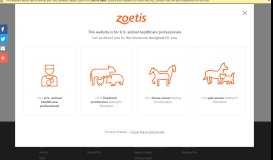 
							         Zoetis For Shelters - Insights | Zoetis US								  
							    