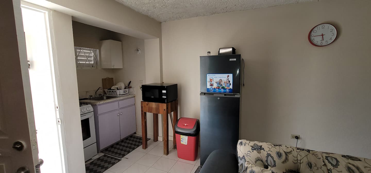 Beautiful King Suite with kitchenet, AC & fridge photo 9