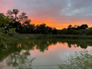 MLS #9100873 img 0