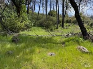 MLS #323047715 img 0