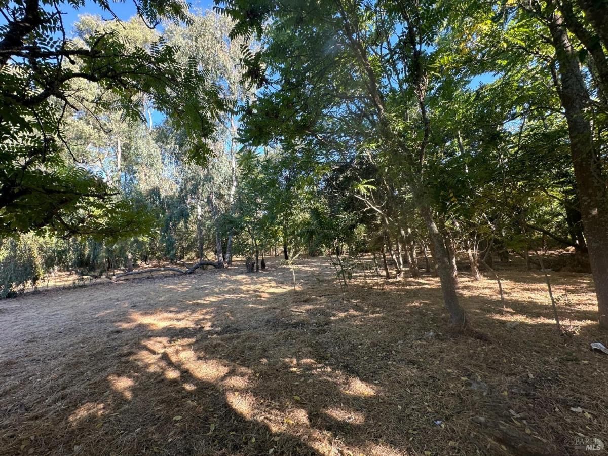 MLS #324063855 img 0