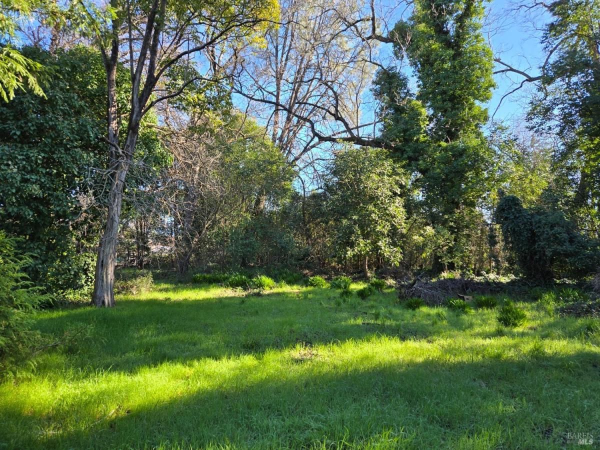 MLS #325003830 img 0