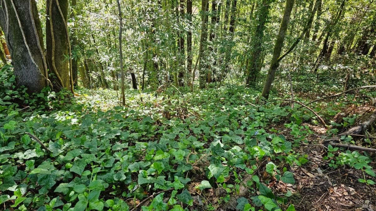 MLS #325006434 img 0