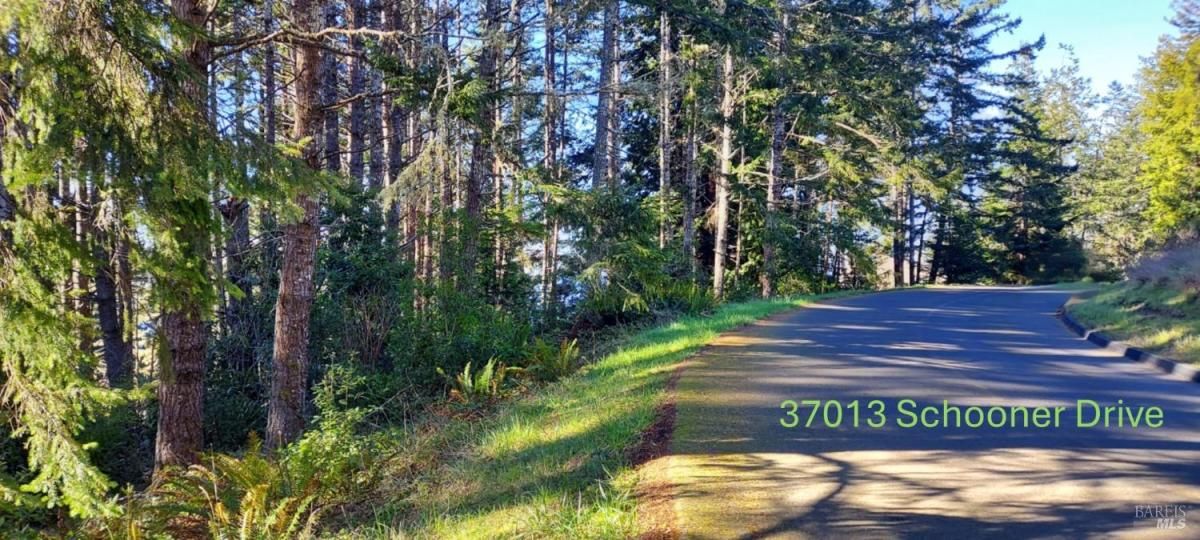 MLS #325006626 img 0