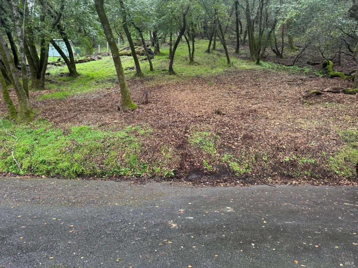 MLS #325007746 img 0