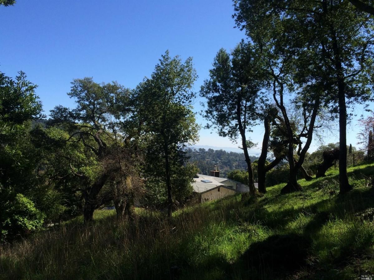 MLS #325013854 img 0