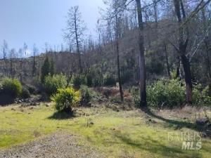 MLS #325019222 img 0