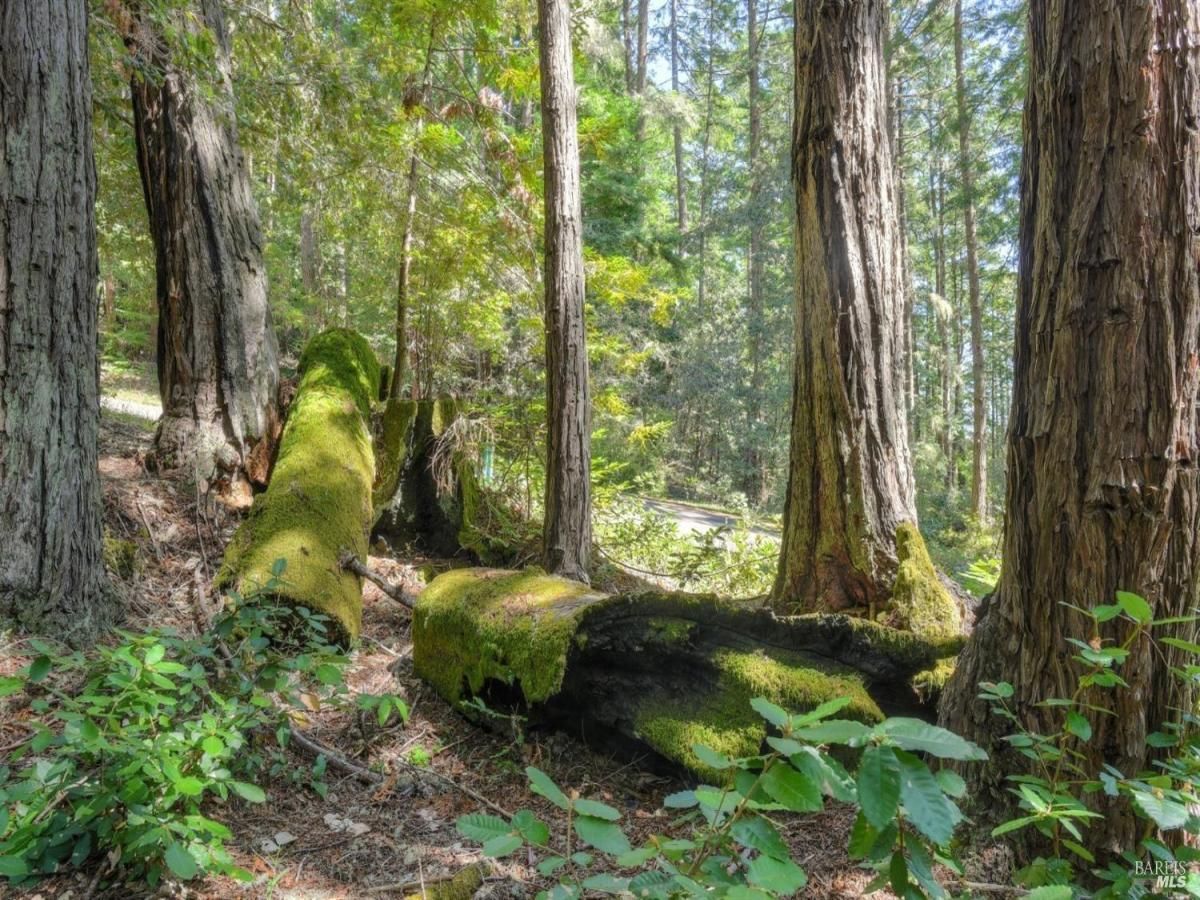 MLS #325020139 img 0