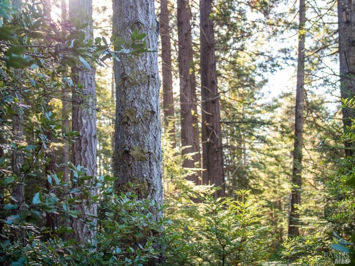 MLS #325024597 img 0