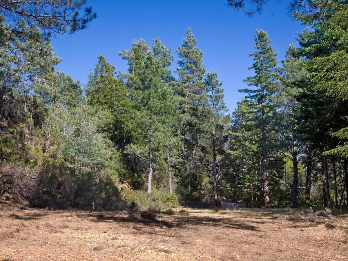 MLS #325028164 img 0