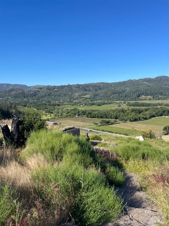 MLS #325029865 img 0