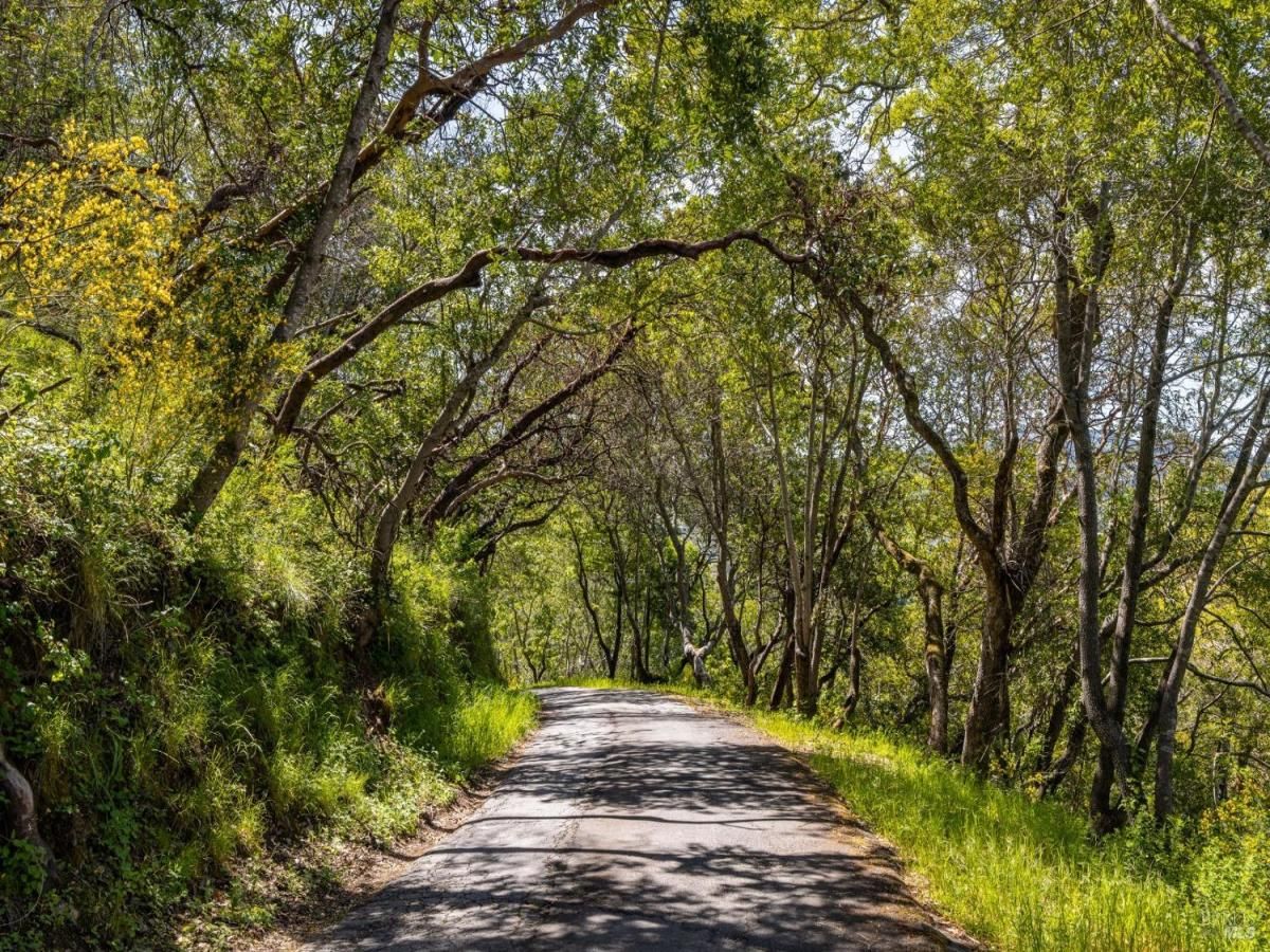 MLS #325030401 img 0