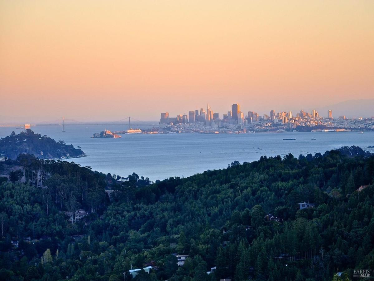 MLS #325030841 img 0