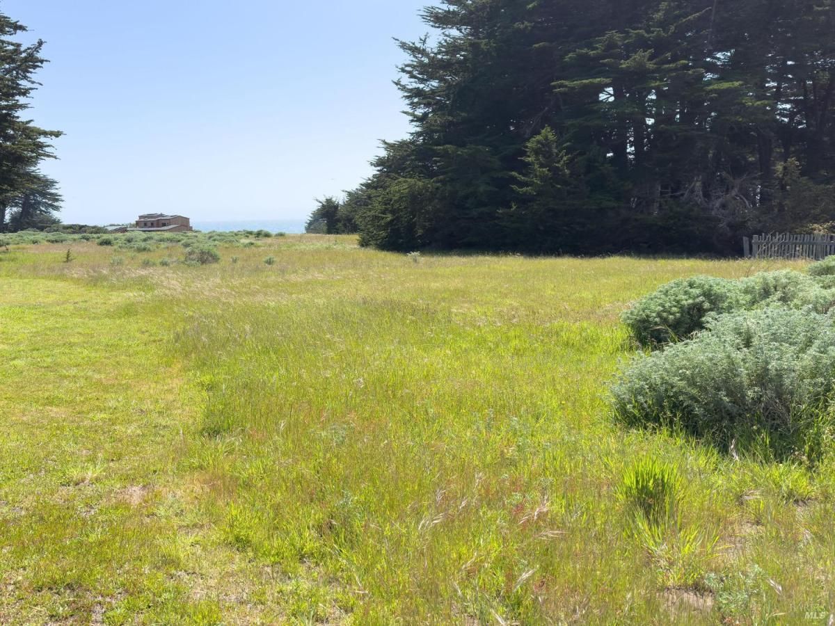 MLS #325036245 img 0