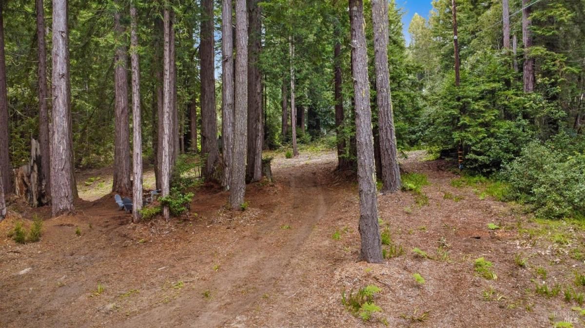 MLS #325036379 img 0