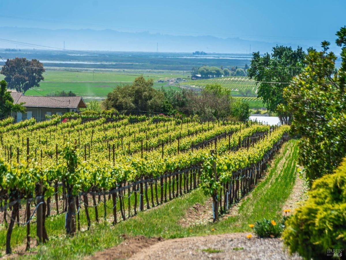 MLS #325039684 img 0